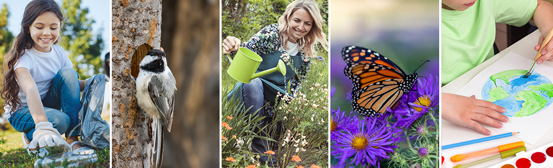 Collage of child picking up litter, bird on a tree, woman gardening, monarch butterfly on flower and a child painting